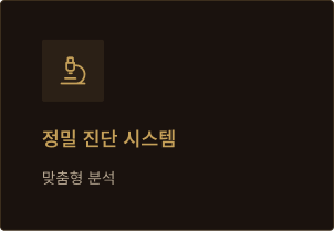 정밀 진단 시스템